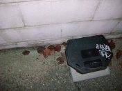 Rat Poison By Breaux Mart