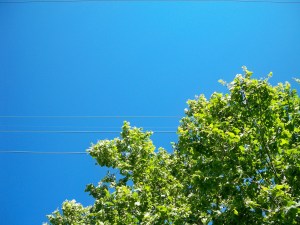 Blue Sky in the Marigny