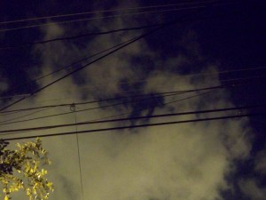 Power Lines in the Night Sky From a Porch