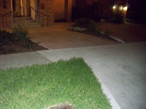 Tall Grass at Rayne Memorial Church