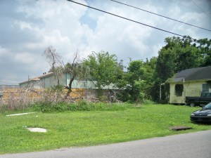 Tree Debris at General Taylor and Annunciation