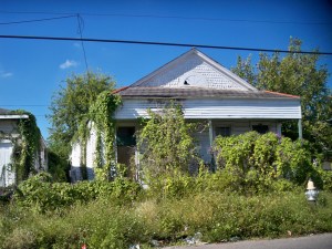 Vines on a Blighted House at Delachaise & Danneel