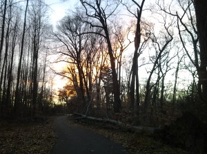 The Sun Going Down Behind Bare Trees on the Jones Falls Trail in Druid Hill Park