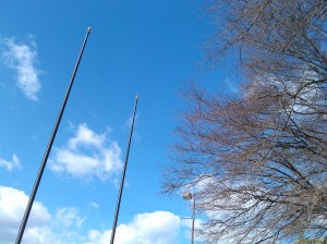 Blue Sky, Trees, and Empty Flag Poles at E. Lafayette & S. President