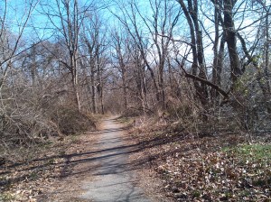 View Down the Herring Run Park Trail Near Harford & Parkside