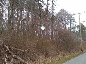 Bicyclists Speed Limit Sign in the Trees Along the B&A Trail Near Pasadena