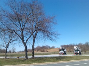 Trees and Trucks at Falls & Shawan in Cockeysville