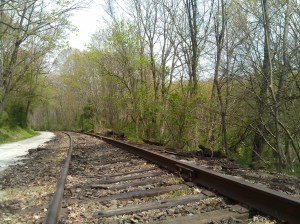 Scene From Somewhere on the NCR Trail