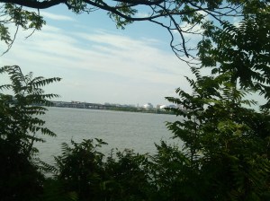 View From a Shaded Bench in Middle Branch Park 