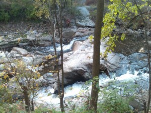 View of the Gwynns Falls Along the Leakin Park Branch of the Gwynns Falls Trail