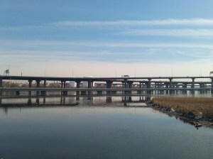 Tangles of Freeways Seen From the Middle Branch Trail of the Gwynns Falls Trail