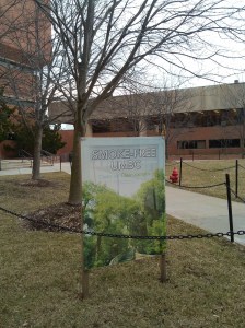 Smoke-Free UMBC Sign on Academic Row
