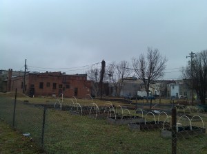 Hoop Garden at Laurens Street & Islamic Way