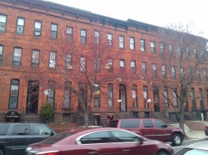 Flower Buds and Plastic Bags Waving in the Wind at 24th & Saint Paul