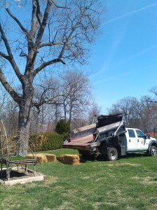 Truck Dumping Bales of Hay at Druid Hill Park Conservatory