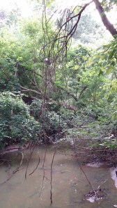 View From a Bridge Over Spa Creek in Annapolis