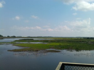 View From a Lookout at Bombay Hook National Wildlife Reserve