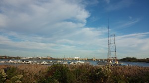 View Across the Patapsco From Middle Branch Park