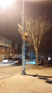 Leafless Tree at 29th & Guilford