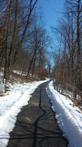 Gwynns Falls Trail