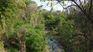 View Over the Bridge on Wyman Park Drive