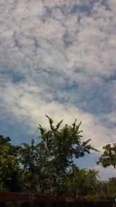Blue Skies and Clouds Above the Gwynns Falls Trail Between Washington & Wilkens