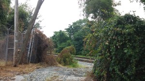 Peek Onto Railroad Tracks At Sisson Just Past 23rd Street