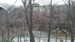 View From the Jones Falls Trail Between Druid Hill and Falls Road