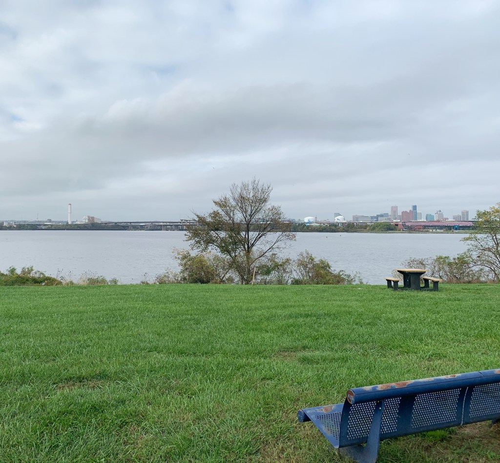 A blue park bench is in the foreground, set against green grass and a picnic table and tree in the middle of the picture. The sky is cloudy and the water of the Middle Branch of the Patapsco River is steel gray.