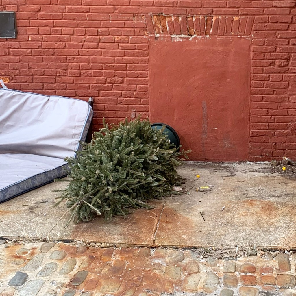 Old mattress and Christmas tree in an alley against a red brick wall.