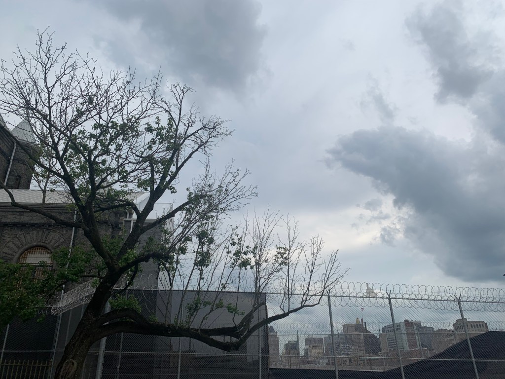 A barbed wire fence in the foreground, a tree at the left of the picture, and the hint of an old stone building behind the tree. The sky is gray and cloudy, and behind the fence you can just see Baltimore's downtown skyline.