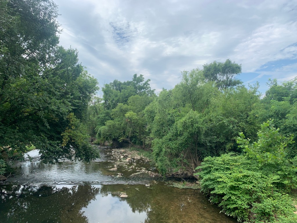 Picture of a stream with lush greenery on both sides, a cloud-streaked sky in the background.