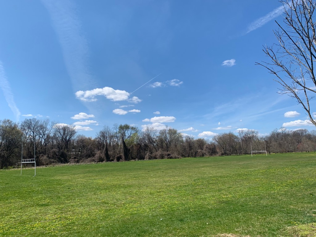 A green field with leafless trees int eh background against a blue sky with a few puffy clouds and a few streaky ones.